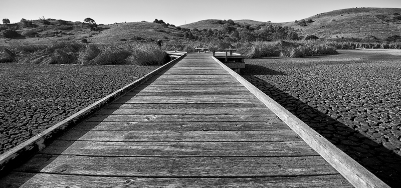 Photo from Coyote Hills in Fremont showing a dock over dried ground. Photo by Robin Mayoff.
