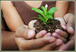 Photo of 2 people holding a small plant in their hands