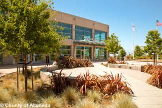 Photo of water-wise landscaping at the Juvenile Justice Center.