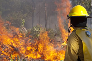 Photo of fire fighter observing a wildfire.