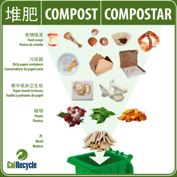 Compost: food scraps, dirty paper containers, paper towles & tissues, plants, and wood